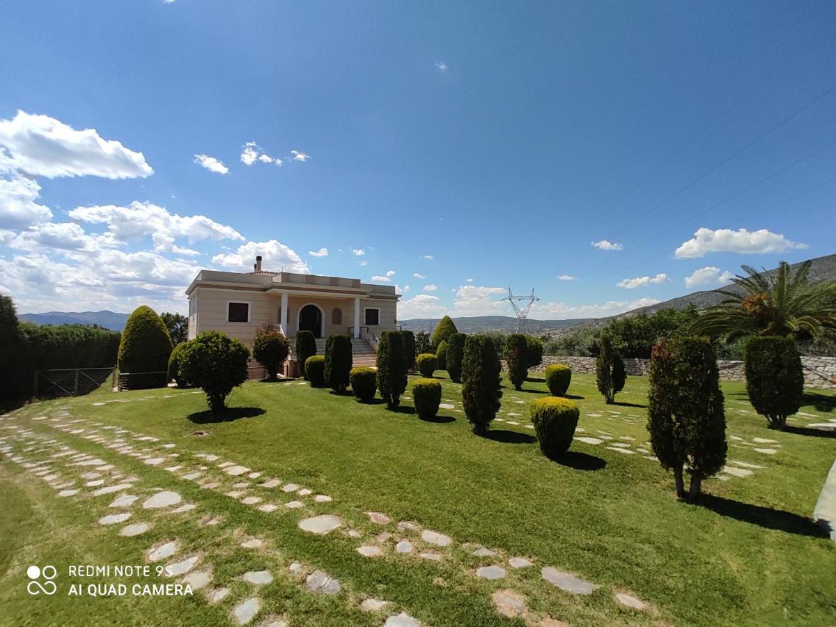 Luxury Villa Thea Volos Esterno foto